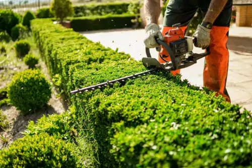 Garden Cleaning & Clearance