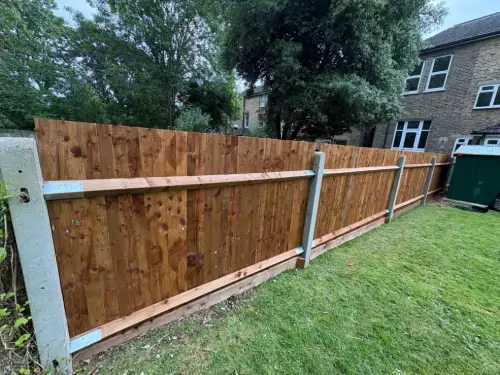 Initial Consultation