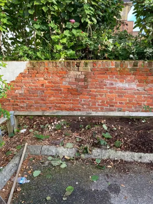 Initial Consultation